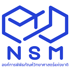 nsm
